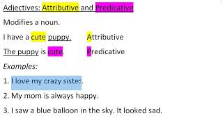 EHL 20  Predicative and Attributive Adjectives [upl. by Hayott716]