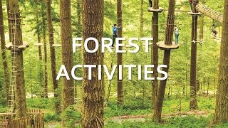 North York Moors  Forest Activities [upl. by Carroll]