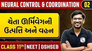 NEURAL CONTROL AND COORDINATION 02  ચેતા ઊર્મિવેગની ઉત્પત્તિ અને વહન  Zoology  Class 11thNEET [upl. by Nonnerb925]