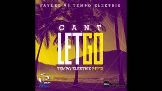 OFR013  Faydee Vs Tempo Elektrik  Cant Let Go Extended Mix [upl. by Other525]