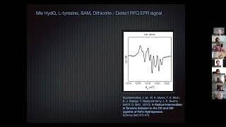 Hydrogenase Lectures 2022 Episode 3 Part 1 Dave Britt [upl. by Leryt]