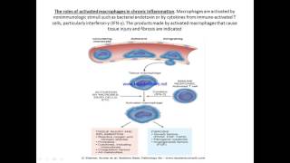 chronic inflammation [upl. by Woodcock]