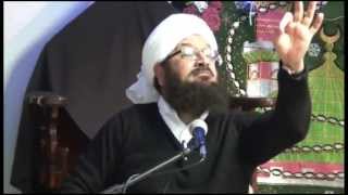 Mufti Ansar ul Qadri  Milad Bayan [upl. by Nayrbo]