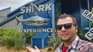 Discovery Kingdoms NEW Shark Experience plus other updates around the park [upl. by Shoifet]