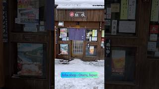 Traditional Soba Shop in Otaru Japan [upl. by Puff]