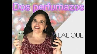 Perfumes Lalique PERLES DE LALIQUE y AMETHYST reseña de estas FRAGANCIAS de Natalie Lorson [upl. by Terbecki239]