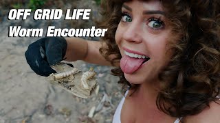 Strange Worm Encounter Living Off Grid [upl. by Mahda]