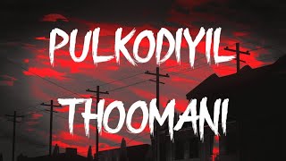 Pulkodiyil Thoomani Song Lyrics  Take Off [upl. by Aener551]