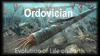 The Evolution of Life part 3  Ordovician [upl. by Eelyr]