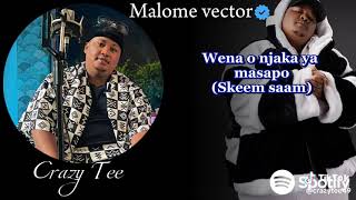 MALOME VECTOR SKEEM SAAM X UBUNTU BAND LILYJOKE ntatestunnaofficial [upl. by Laetitia]