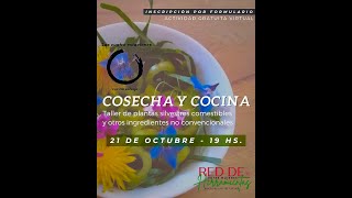 COSECHA Y COCINA  Taller de plantas silvestres comestibles [upl. by Neeka642]