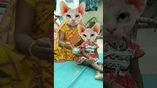 Lalla Lalla Lori dudh ki katori😺😺 Munna kare Tamasha dudh mein batasha 🍼🍼👍🙏 [upl. by Lindie]