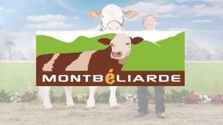 Présentation OS Montbéliarde [upl. by Latsyrcal530]