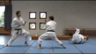 Heian Shodan Bunkai [upl. by Cicily]