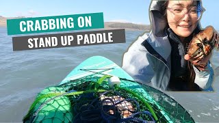 Solo crabbing trip on SUP first timer edition [upl. by Ahsea203]