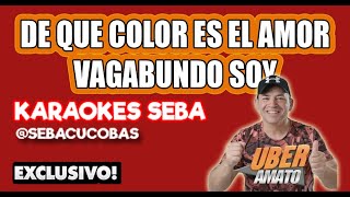 KARAOKE UBER AMATO  QUE COLOR TIENE EL AMOR  VAGABUNDO concoros [upl. by Tomkin539]