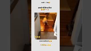 Thodi si pi thii bilkul🥲😂😂 funnyvideo viralvideo trending [upl. by Vite]