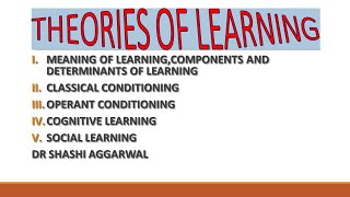 THEORIES OF LEARNING IN HINDI [upl. by Asin711]