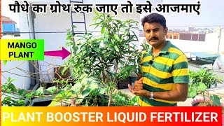 Garden Fertilizer tips Best Liquid Fertilizer for terracegarden जबरदस्त बेहतरीन जैविक खाद [upl. by Asile588]