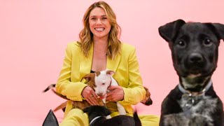 Elizabeth Olsen The Puppy Interview [upl. by Talie]