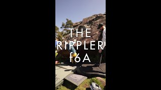 The Rippler  f6A  The Roaches [upl. by Fisuoy274]