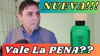 NUEVA  VERBENA ADOLFO DOMÍNGUEZ 2023  VALE LA PENA [upl. by Elita]