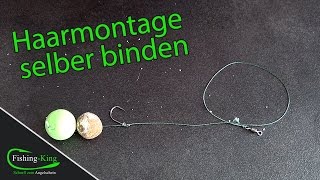 Karpfenangeln Basics Haarmontage einfach selber binden  Tutorial  fishingkingde [upl. by Linnette]