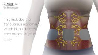 Reduce Your Waistline With Slendertone 3D Animation [upl. by Sargent986]