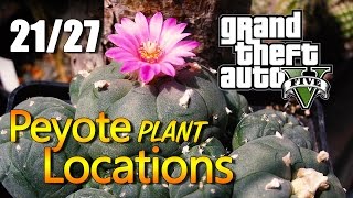 GTA 5  Peyote Plant Locations 2127 [upl. by Elamef]