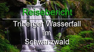 Triberger Wasserfälle  Schwarzwald  Videobericht [upl. by Imeaj]