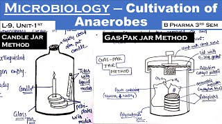 Cultivation of Anaerobes in Microbiology in hindi  L9 Unit1  B Pharma 3rd sem  Carewell Pharma [upl. by Rosie]