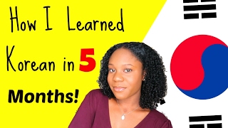 How I Learned Korean in 5 Months To Advanced Beginner Avoid These Mistakes NEW Study Tips [upl. by Ellenuahs]