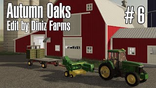 Raking and Baling Hay  Autumn Oaks DFMEP  Episode 6 [upl. by Ojela926]