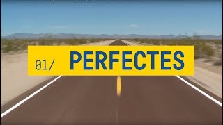 ELS CATARRES  PERFECTES amb lletra  Tots els meus principis 2018 [upl. by Varien]