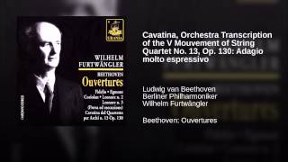 Cavatina Orchestra Transcription of the V Mouvement of String Quartet No 13 Op 130 Adagio [upl. by Ury]