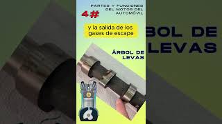 Árbol de levas 4 Partes y funciones del motor del automóvil electricidadautomotriz automobile [upl. by Bokaj]