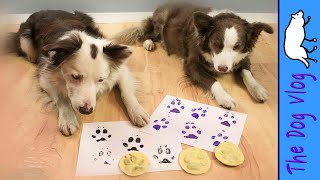 Paw Print Stamp of YOUR Dog  DIY [upl. by Alon155]