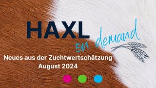 HAXL on demand  ZWS August 2024 [upl. by Enwahs]