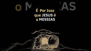 É Por Isso Que ELE é o MESSIAS [upl. by Anitnamaid569]