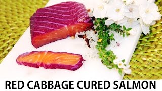 Red Cabbage Cured Salmon Recipe  Chef Jason Howard [upl. by Gilberta]