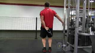 Single Arm Cable behind Side Lateral Raise [upl. by Noellyn]