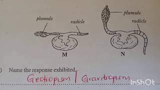 Biology paper 1 KCSE revision Questions and Answers ❤️❤️❤️❤️milkahwambui6693 [upl. by Cristen]