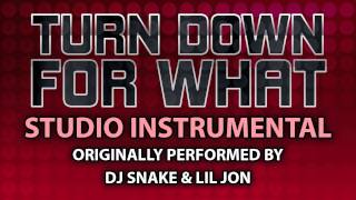 Turn Down For What Cover Instrumental In the Style of DJ Snake amp Lil Jon [upl. by Irot440]