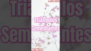 Triângulos Semelhantes [upl. by Neeneg]