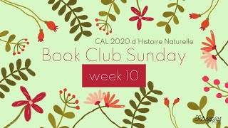 Scheepjes CAL 2020  DHistoire Naturelle  Book Club Sunday Week 10 [upl. by Ennayelsel]