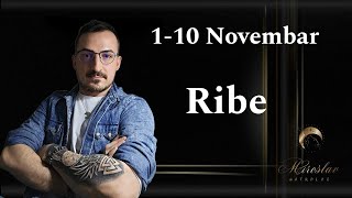 RIBE 1  10 NOVEMBAR [upl. by Adnohser]