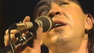 Stevie Ray Vaughan Life Without You Live In Nashville [upl. by Balfore]