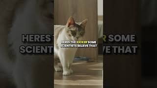 Why Do Cats Purr 🐱 The Surprising Science Explained animalfacts [upl. by Allerym279]