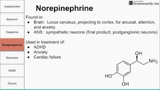 Neurotransmitters of the human body [upl. by Etac]