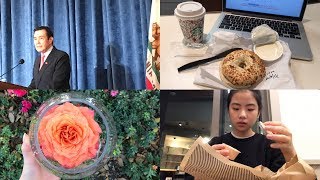 大學VLOG充實的一天。 [upl. by Ullyot]